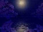 Original Size: 350 x 263, 15KB