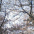 Size: 120 x 120, 10KB