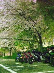 Original Size: 375 x 500, 74KB