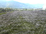 Original Size: 640 x 480, 89KB